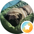 user_profile