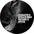 user_profile