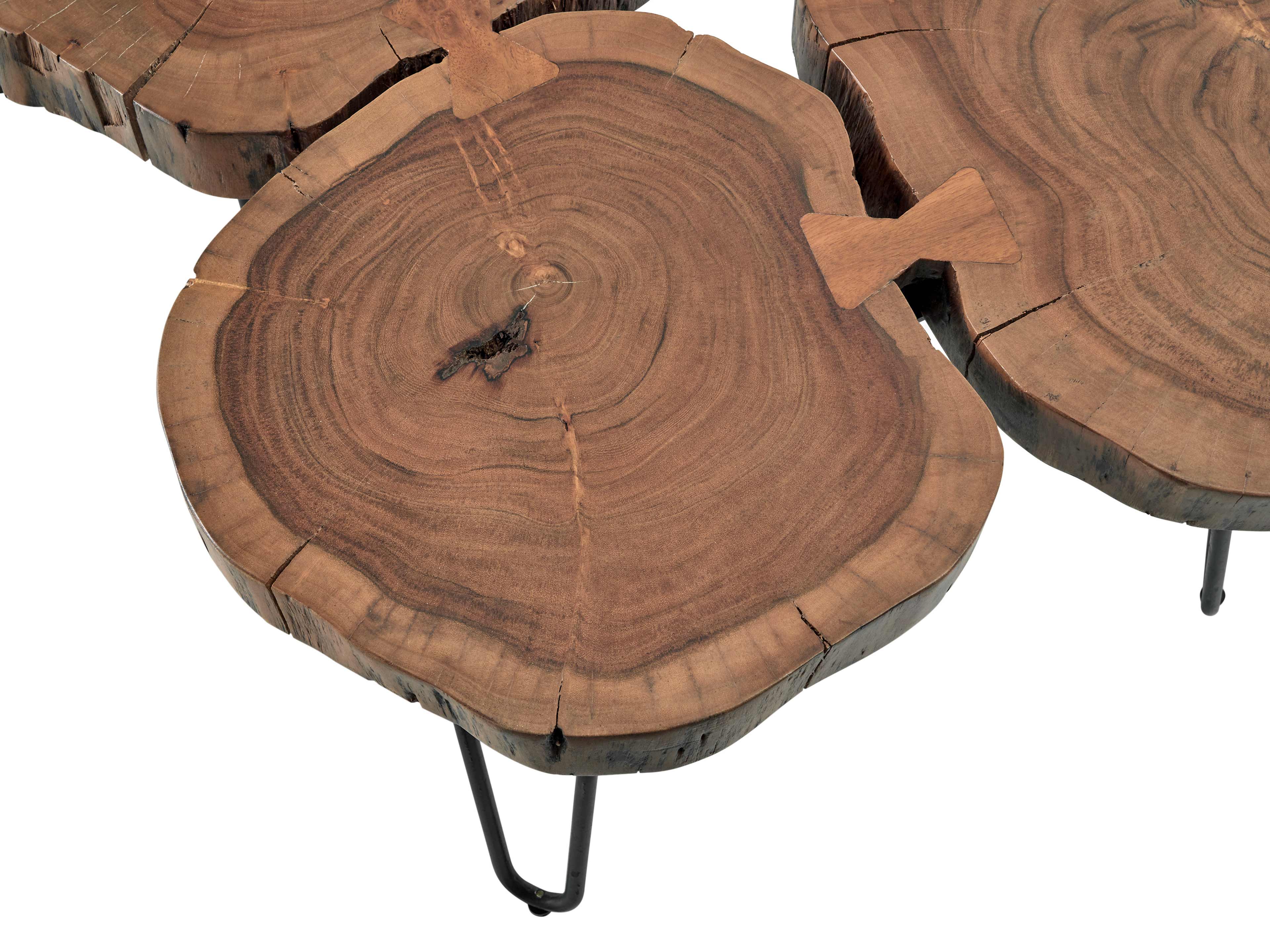 Couchtisch Setaria Mini – organische Tischplatte aus naturbelassenem Holz mit Metallgestell