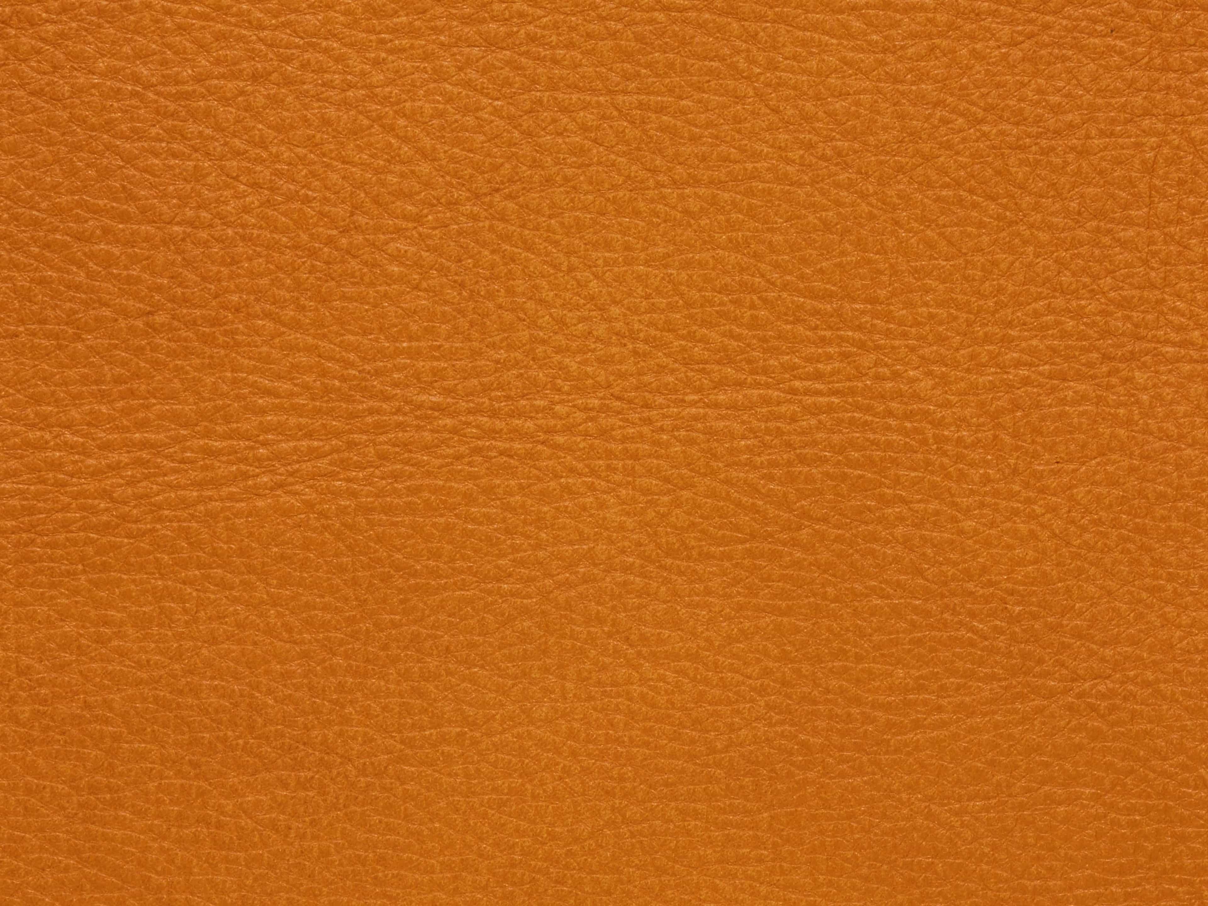 S1205