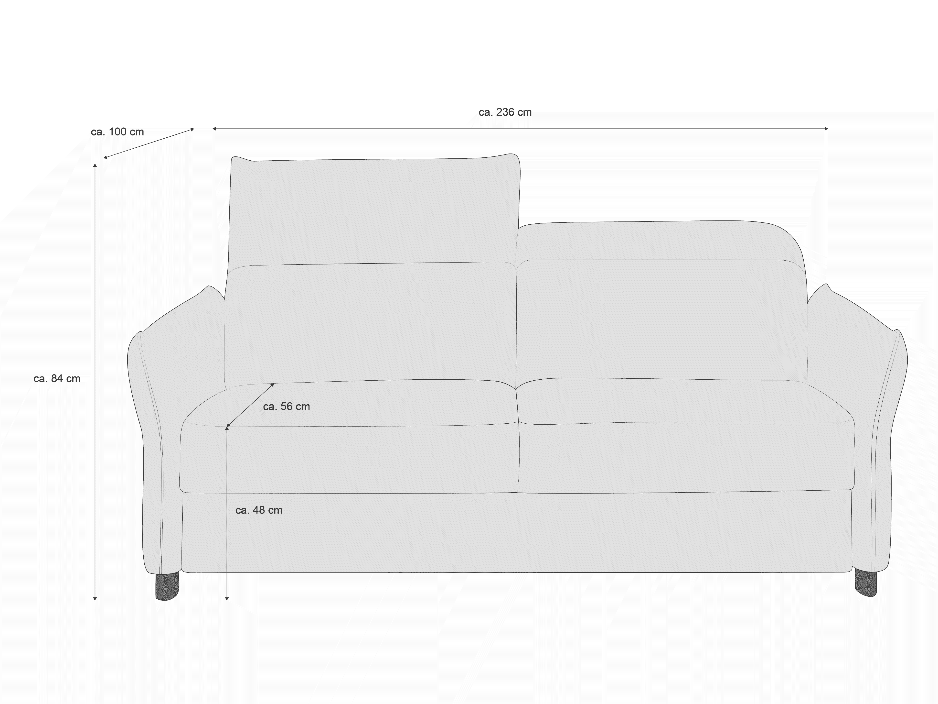 2-Sitzer Sofa mit gepolsterter Rückenlehne, Armlehnen und sichtbaren Sofafüßen in Frontansicht