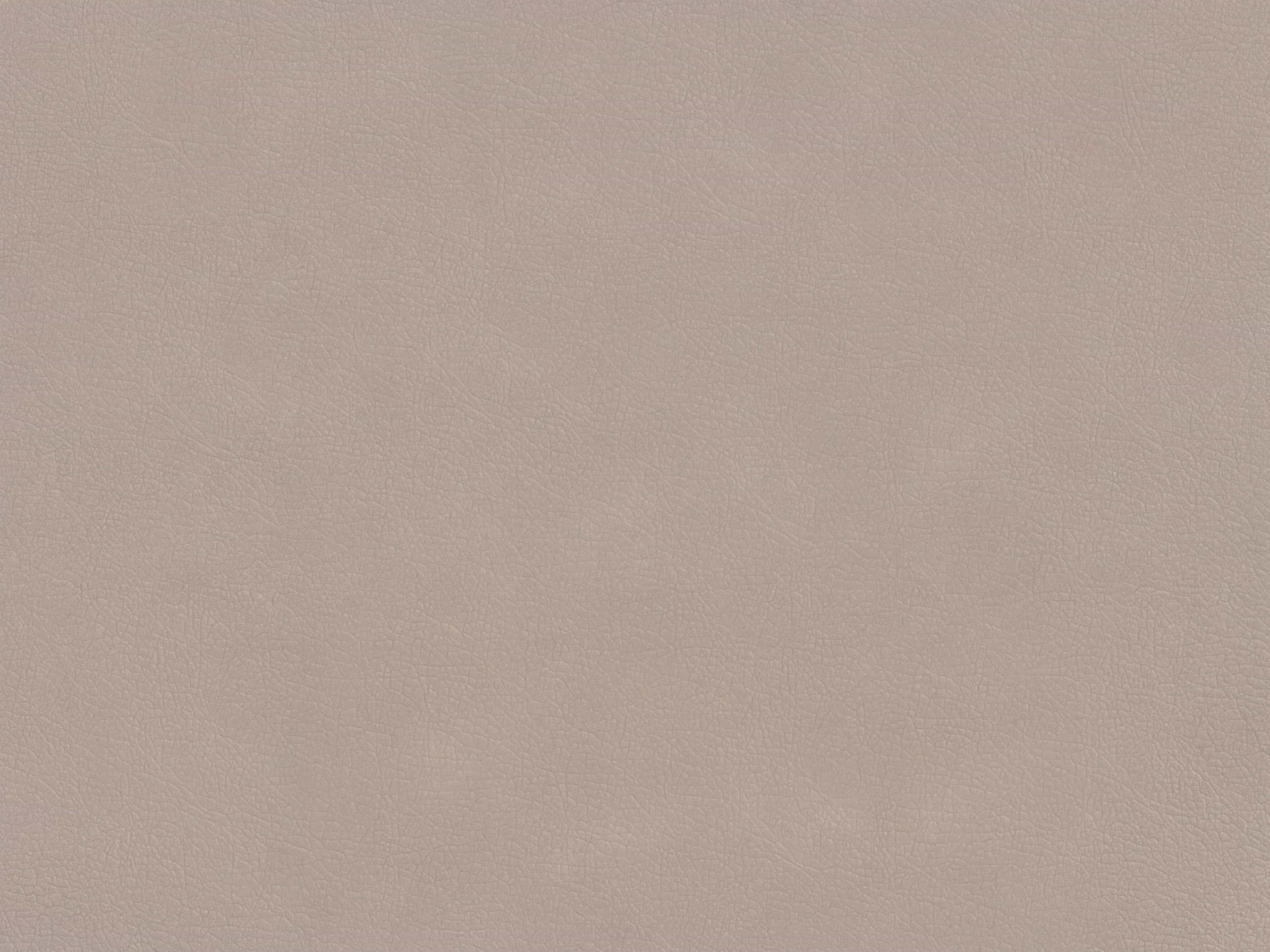 Bezugstoff in Lederoptik in hellem Beige mit feiner, leicht genarbter Oberflächenstruktur