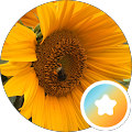 user_profile